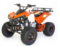 Квадроциклы 110-125 см3