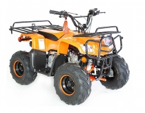 Квадроциклы 50 см3